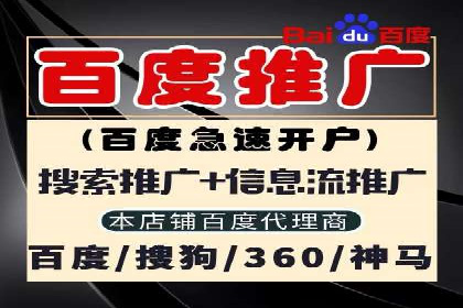 从小白到高手：百度竞价赚钱全记录